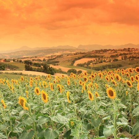 Casa Vacanze Angelica Ostra Vetere 외부 사진