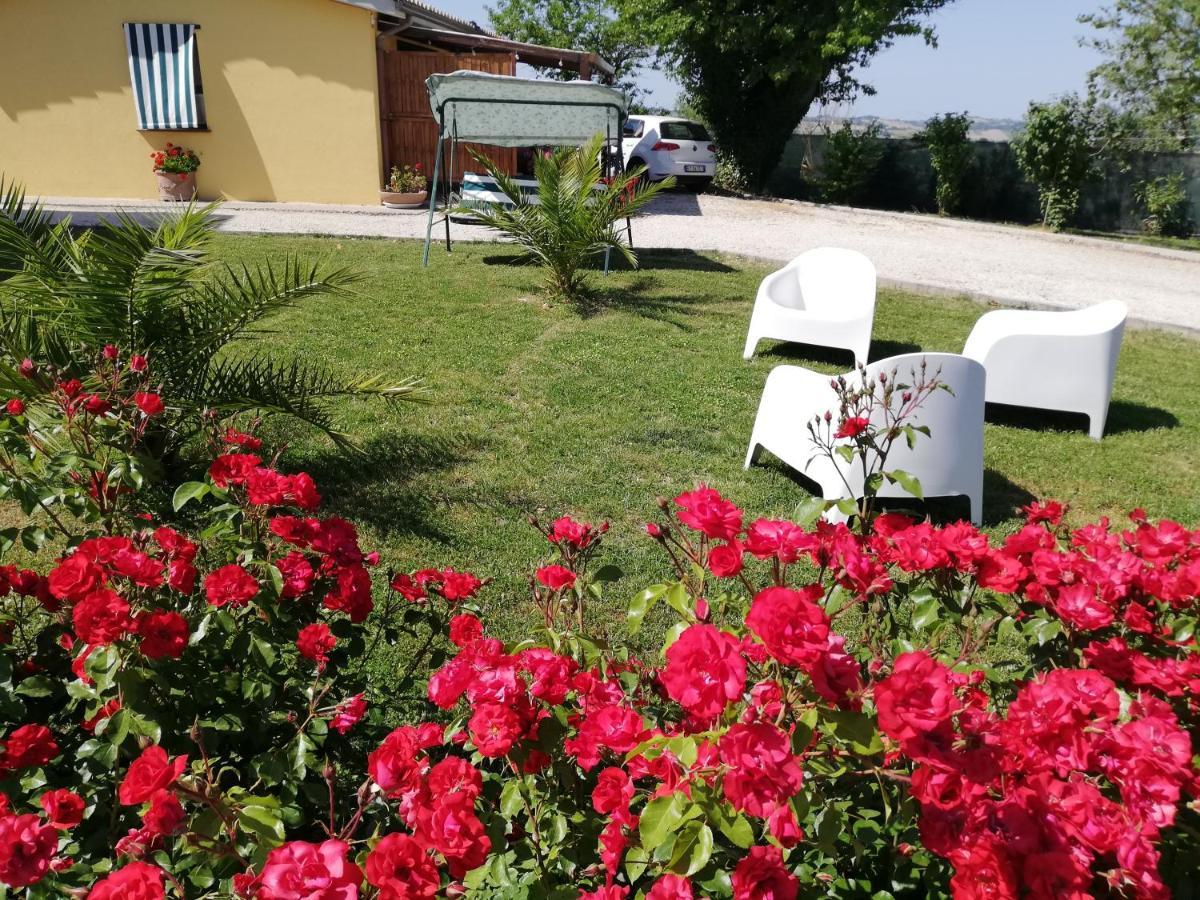 Casa Vacanze Angelica Ostra Vetere 외부 사진