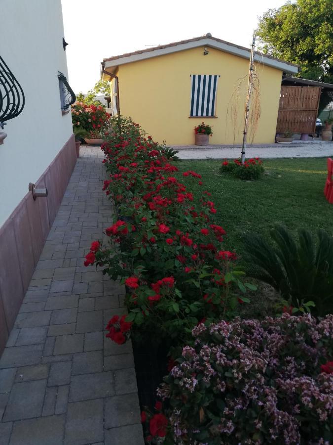 Casa Vacanze Angelica Ostra Vetere 외부 사진