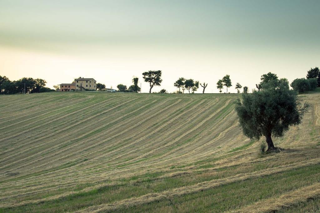 Casa Vacanze Angelica Ostra Vetere 외부 사진